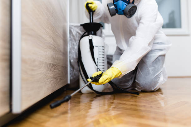 Best Affordable Pest Control Services  in Nekoosa, WI