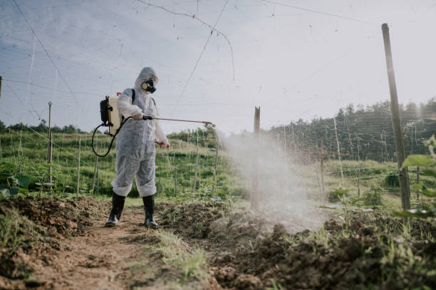 Pest Control Cost in Nekoosa, WI