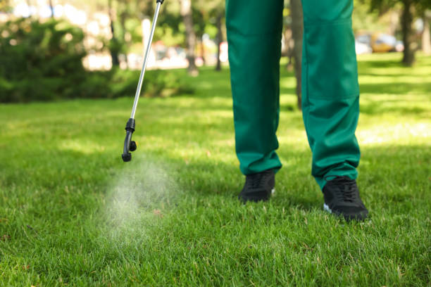 Best Residential Pest Control  in Nekoosa, WI