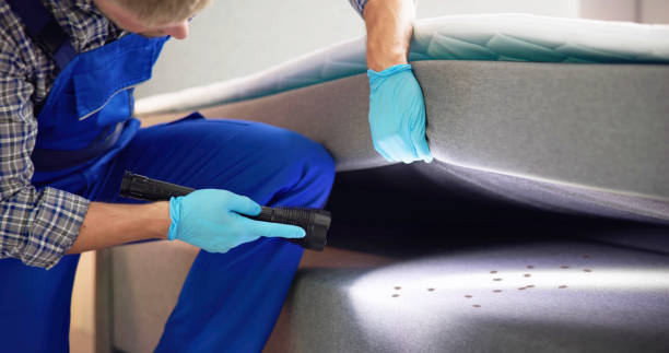 Best Flea Control Services  in Nekoosa, WI