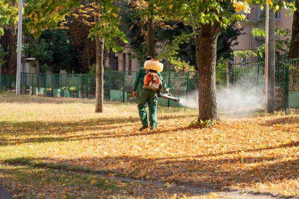 Best Commercial Pest Control Services  in Nekoosa, WI
