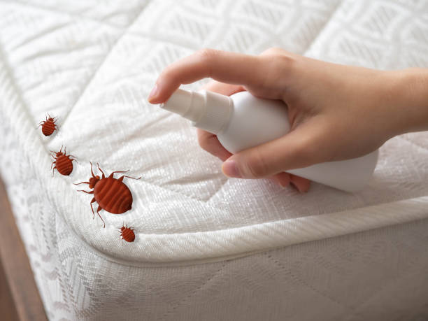 Best Pest Control Treatment  in Nekoosa, WI