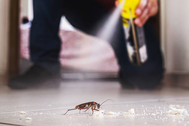 Professional Pest Control in Nekoosa, WI