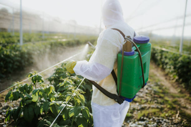 Best Pest Inspection Near Me  in Nekoosa, WI